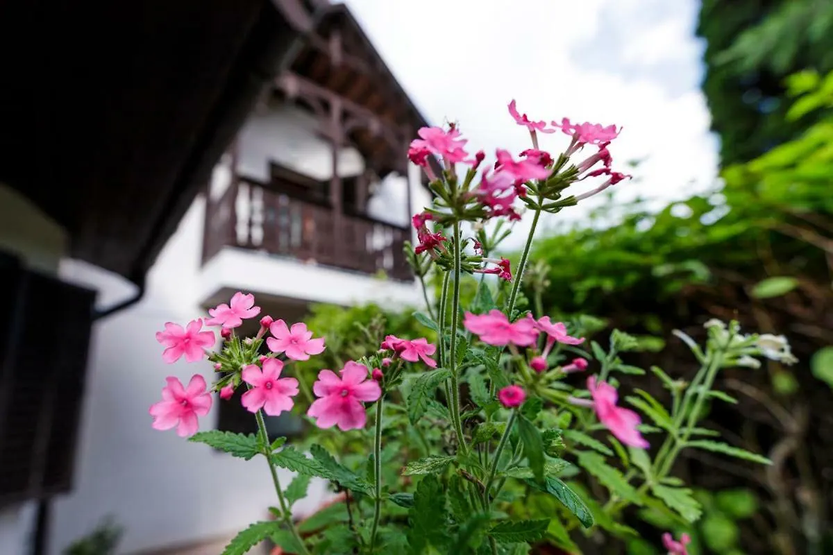 Tulipangarden Panzio Bed & Breakfast Eger